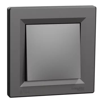   Schneider ASFORA Egypólusú kapcsoló - IP44, antracit, EPH0100271