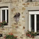 Rábalux 8245 Konstanz, kültéri falikar lámpa, lefelé