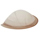 Tracon UFO-F-B Üveg oldalfali fél UFO lámpatest, bézs Tracon UFO-F-B Üveg oldalfali fél UFO lámpatest, bézs